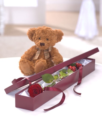 Perfection Teddy Bear Gift Set