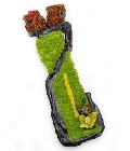 Green Orchid Golf Bag Tribute.