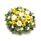 Posy  Yellow and White