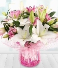 Lovely Lilies*